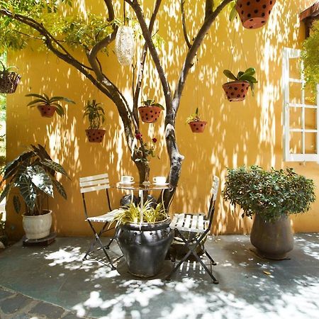 Green Garden Homestay Хой Ан Екстериор снимка