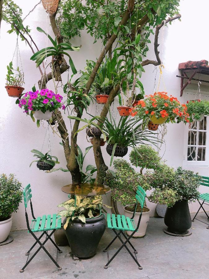 Green Garden Homestay Хой Ан Екстериор снимка
